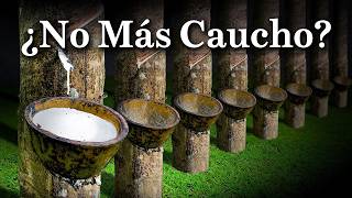 Esto Es El Desastre Natural Por El Que Hay Que Preocuparse