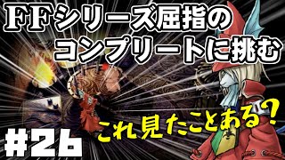 【FF9】最強の召喚士エーコが誰も見たことがない究極のデータを目指します（第26話～テラの防衛システム）