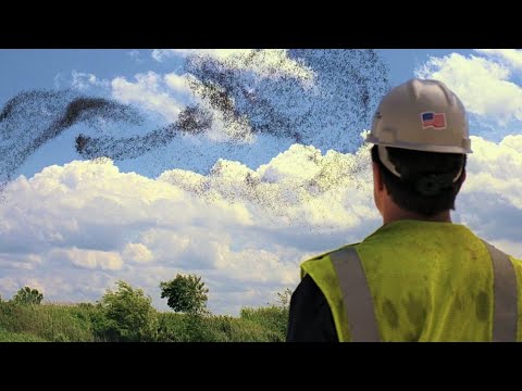 No One Believed Him But He Was Right, Storm Is Coming