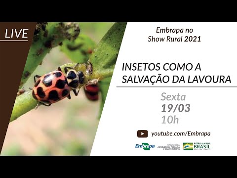 Insetos como a salvação da lavoura