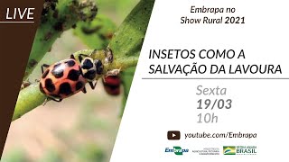 Miniatura do vídeo