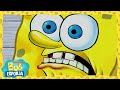 Bob Esponja Y Patricio Pintan La Sala De Estar De Don Cangrejo Bob Esponja En Español