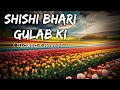 SHISHI BHARI GULAB KI Slowed Reverb Lofi