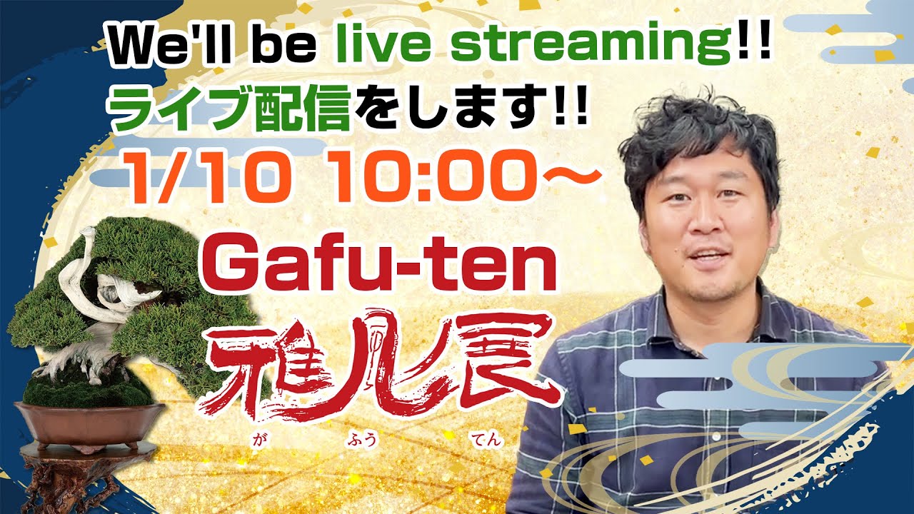 盆栽職人Toshi オフィシャルウェブサイト | Bonsai Artist Toshi
