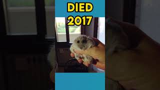 Download lagu The Most Popular Meme Animals (then vs now) mp3