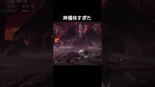 ミラボレアス狩猟笛1分頭部破壊