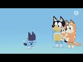 Bluey Intro But It S Reversed