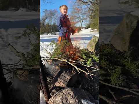 Träsko-Elofs Udde - Mållsjön - Möljeryd - grillplatsen - 2026-02-15 #blekinge #ronneby