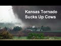Kansas tornado sucks up cows and blows farm apart