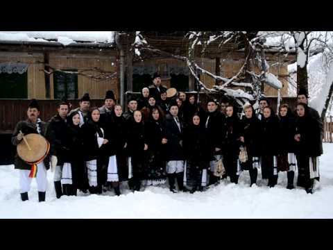 Ansamblul - Ritmuri Zarandene - Mustra