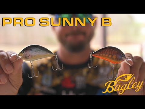 Pro Sunny B with Drew Benton