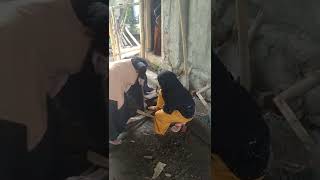 Download lagu jangan heran,santri putri sudah biasa melakukan ini #shorts #santriwati mp3