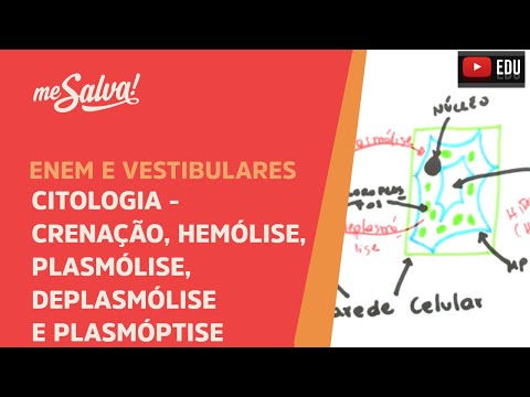 Me Salva! CIT16 - Citologia - Crenação, Hemólise, Plasmólise, Deplasmólise e Plasmóptise