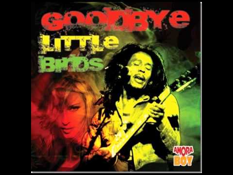 Amoraboy - Bob Marley vs Madonna - Goodbye little birds