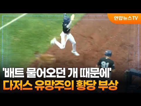 '배트 물어오던 개 때문에'...다저스 유망주의 황당 부상