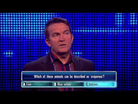 Ben Gets His Vulture Question Right - The Chase