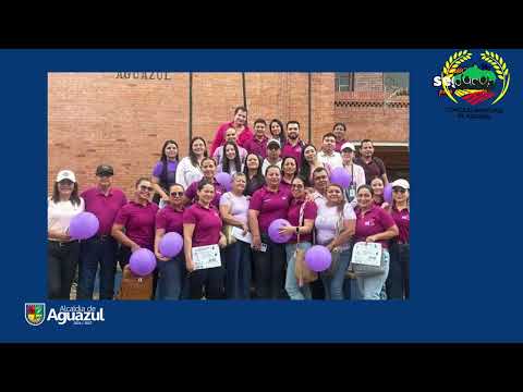 🏛️ CONCEJO MUNICIPAL DE AGUAZUL – CASANARE📢 SESIÓN DE CONTROL POLÍTICO   25 febrero 2026