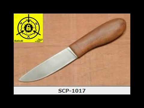 SCP-1017-RU - The last service [TRANSLATION]