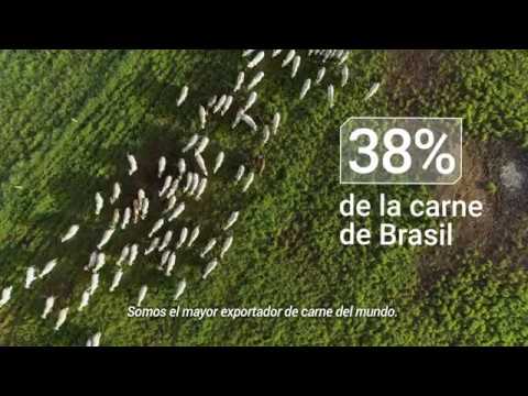 Voiceovers YouTube video thumbnail - Yo Soy Cambio - Consumo Consciente
