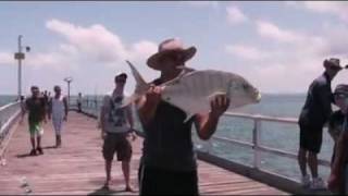 preview picture of video 'Golden Trevally Urangan Pier'