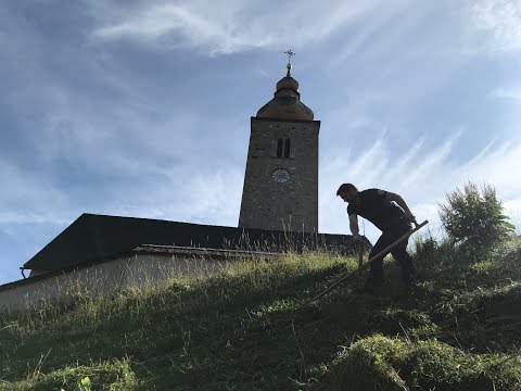 KW 32/2019 - Bauhof 60 Sekunden - Der Wochenrückblick