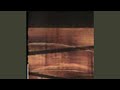Disintegrated (Short Version)