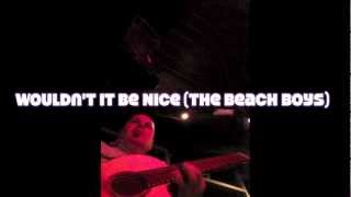 WOULDN'T IT BE NICE (The Beach Boys) Performed by Evyn Charles