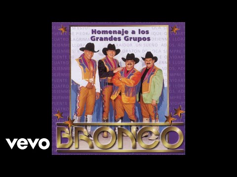 Naila - Bronco