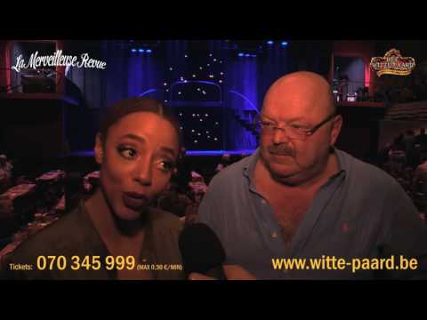 MICHEL VAN DEN BRANDE