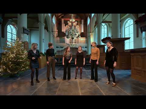 Kobra Ensemble | Roliger Dans