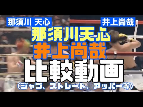 井上尚哉と那須川天心の比較（ジャブ、ストレート、ボディブロー、アッパー）