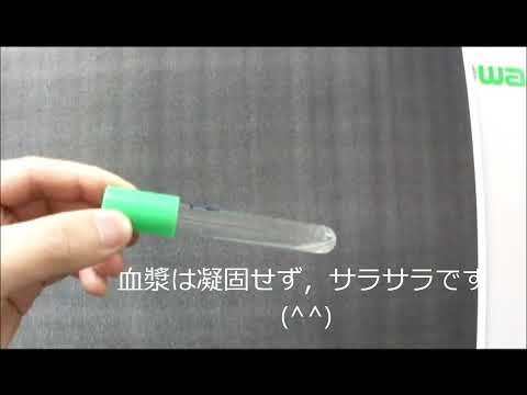 看護学科 coagulase test（コアグラーゼテスト）