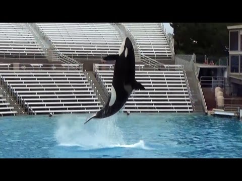 Shouka Training Session