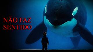 Por que o predador mais letal dos oceanos se recusa a nos matar