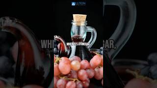Download lagu Is vinegar made from wine halal? 🤔 mp3