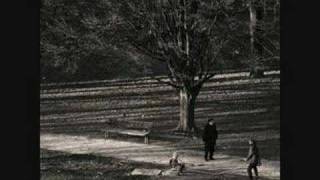 Stellar Kart - Hold On