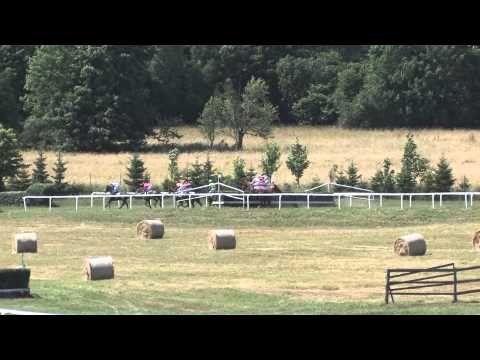 Světlá Hora 3 dostih 11 07 2015