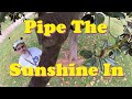 Pipe The Sunshine In