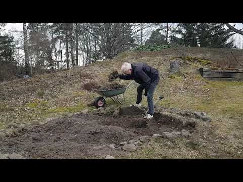 Gräva om rabatten