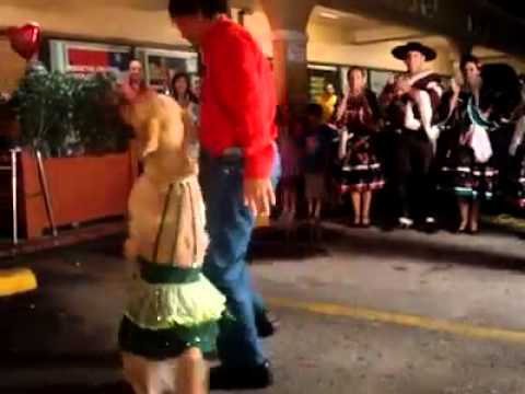 Perro baila