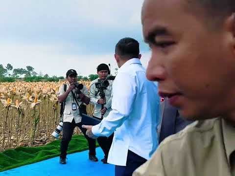 Kunjungan Presiden RI di Tuban