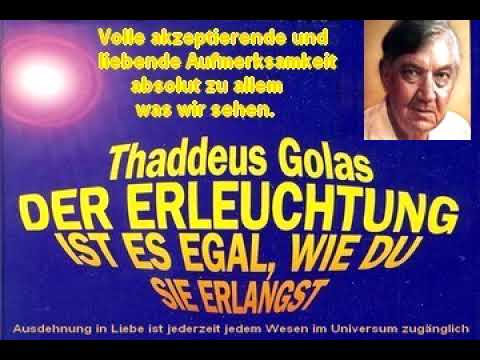Thaddeus Golas Der Erleuchtung ist es egal, wie du sie erlangst 1 6