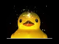 Enter The Duckweb