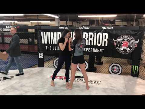 Wimp 2 Warrior montreal