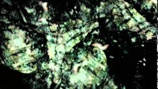 Holy Strays - Christabell B [Official Video] (Noisey Premiere)