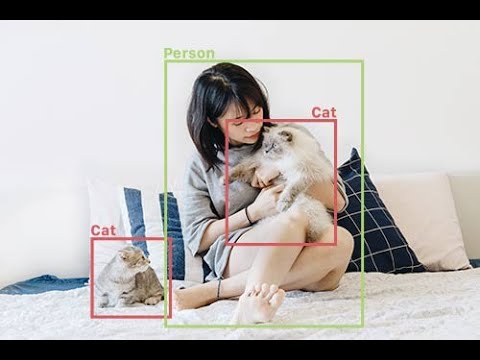 YOLOv8 Object Detection on Jetson Nano | Real-Time AI Demonstration
