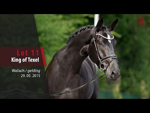 11 King of Texel Wallach v. Toto Jr. - Jazz