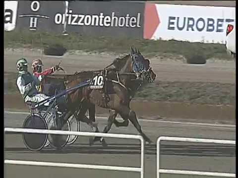 Trotto 26/01/2018 - 2ª corsa