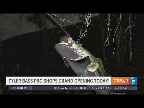 Bass Pro Shops in Tyler highlights East Texas' landscape