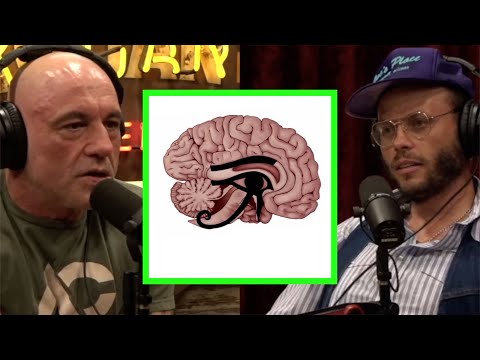 What Advanced Knowledge Did the Ancient Egyptians Have?